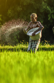 Field irrigation